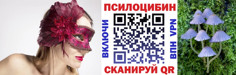 Псилоцибиновые грибы GOLDEN TEACHER  Североуральск 
